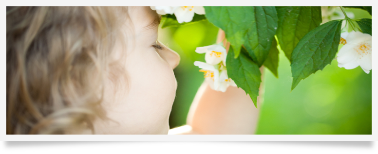 Green Clean Allergy Treatment