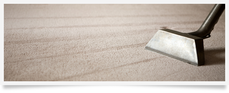 Carpet Cleaning