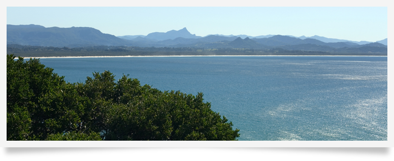Ocean Shores Carpet Cleaning