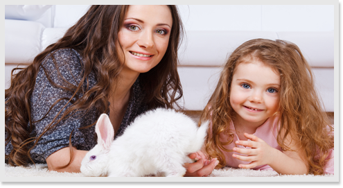 Pet Stain and Odour Removal image