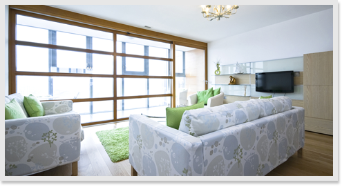 Upholstery Cleaning image