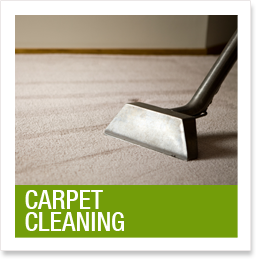 Carpet Cleaning